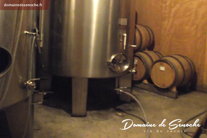 On transvase ensuite ce jus « éclairci » dans les cuves inox du chai, où la vinification démarrera.